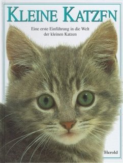 Kleine Katzen