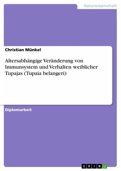 Altersabhängige Veränderung von Immunsystem und Verhalten weiblicher Tupajas (Tupaia belangeri) - Münkel, Christian