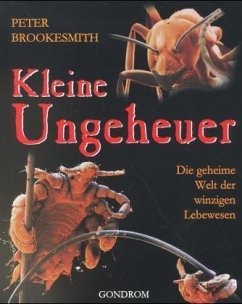 Kleine Ungeheuer