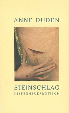 Steinschlag - Duden, Anne