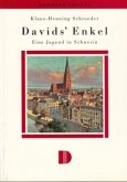 Davids Enkel. Eine Jugend in Schwerin