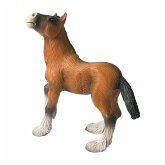 Bullyland 62665 - Shire Horse Fohlen