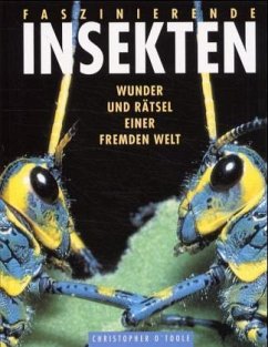 Faszinierende Insekten