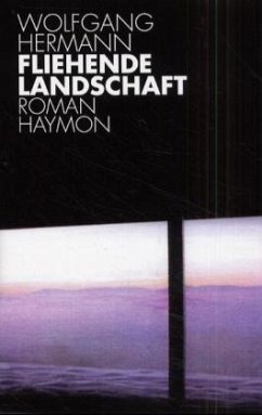Cover Fliehende Landschaft