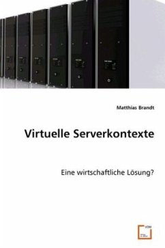 Virtuelle Serverkontexte - Brandt, Matthias