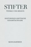 Schriften zu Literatur und Theater / Werke und Briefe 8,1