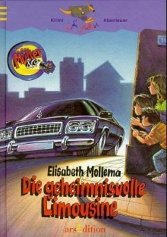 Die geheimnisvolle Limousine