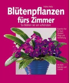 Blütenpflanzen fürs Zimmer