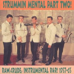 Strummin' Mental! Part Two - Diverse