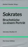 Sokrates - Bruchstücke zu einem Porträt