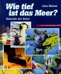 Wie tief ist das Meer?