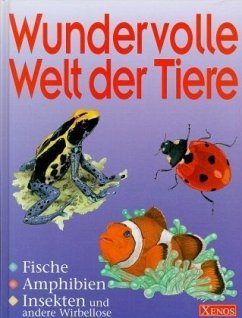 Fische, Amphibien, Insekten und andere Wirbellose / Wundervolle Welt der Tiere