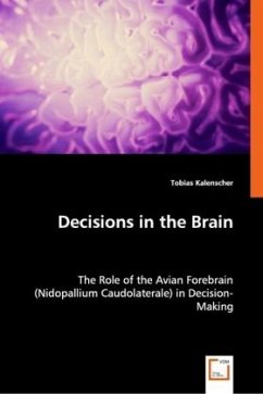 Decisions in the Brain - Kalenscher, Tobias