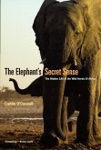 The Elephant's Secret Sense