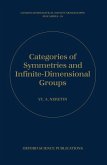 Categories of Symmetries and Infinite-Dimensional Groups