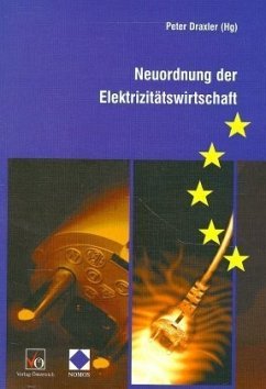 Neuordnung der Elektrizitätswirtschaft Neuordnung der Elektrizitätswirtschaft