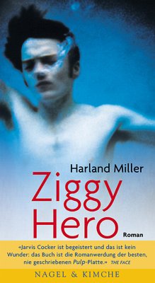 Ziggy Hero