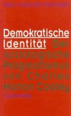 Demokratische Identität