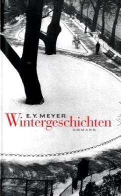 Wintergeschichten - Meyer, E. Y.