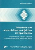 Adverbale und adverbialisierte Adjektive im Spanischen