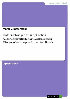 Untersuchungen zum optischen Ausdrucksverhalten an Australischen Dingos (Canis lupus forma familiaris) - Zimmermann, Marco