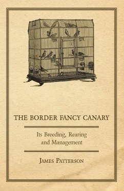 The Border Fancy Canary - Its Breeding, Rearing and Management - Patterson, James