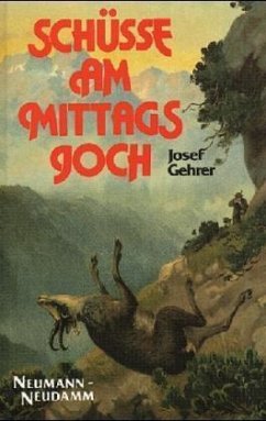 Schüsse am Mittagsjoch