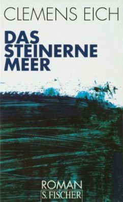Cover Das steinerne Meer