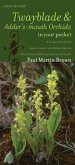 Twayblades and Adder's-Mouth Orchids in Your Pocket: A Guide to the Native Liparis, Listera, and Malaxis Species of the Continental United States and