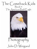 The Comeback Kids, Book 4, The American Bald Eagle