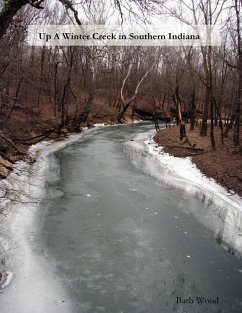 Up A Winter Creek in Southern Indiana - Wood, Barb