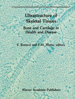 Ultrastructure of Skeletal Tissues - Bonucci, E. / Motta, P. (eds.)