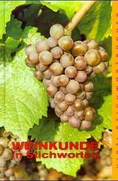 Weinkunde in Stichworten - Hoffmann, Kurt M