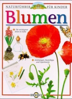 Blumen Blumen