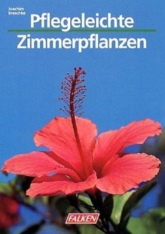 Pflegeleichte Zimmerpflanzen