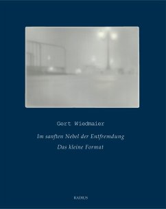 Im sanften Nebel der Entfremdung - Wiedmaier, Gert