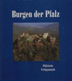Burgen der Pfalz in Luftaufnahmen