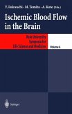 Ischemic Blood Flow in the Brain