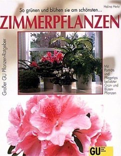 Zimmerpflanzen