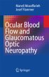 Ocular Blood Flow and Glaucomatous... - Bild 1