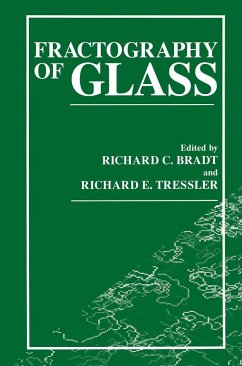 Fractography of Glass - Bradt, R.C. / Tressler, R.E. (eds.)