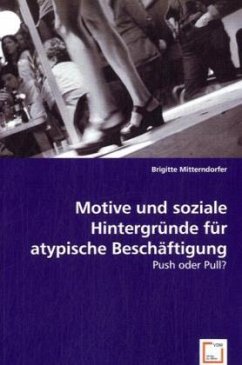 Motive und soziale Hintergründe für atypische Beschäftigung - Mitterndorfer, Brigitte