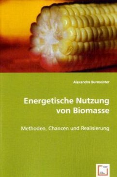 Energetische Nutzung von Biomasse - Burmeister, Alexandra