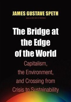 Cover The Bridge at the End of the World