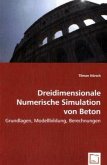 Dreidimensionale Numerische Simulation von Beton