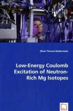 Low-Energy Coulomb Excitation of Neutron-Rich Mg Isotopes - Niedermaier, Oliver Thomas