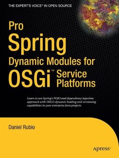 Pro Spring Dynamic Modules for OSGi Service Platforms - Rubio, Daniel