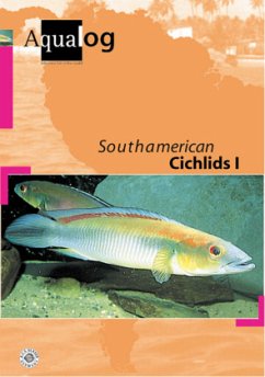 Southamerican Cichlids. Tl.1