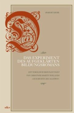 Cover Das Experiment des aufgeklärten Bildungsromans