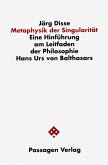 Metaphysik der Singularität